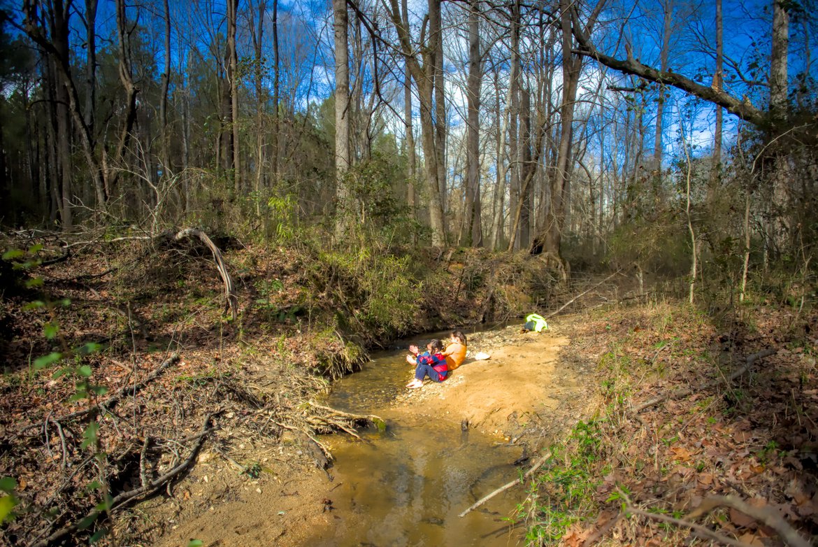 sitting beside the creek behind our house photographed by luxagraf